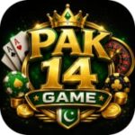 APK 14 Game